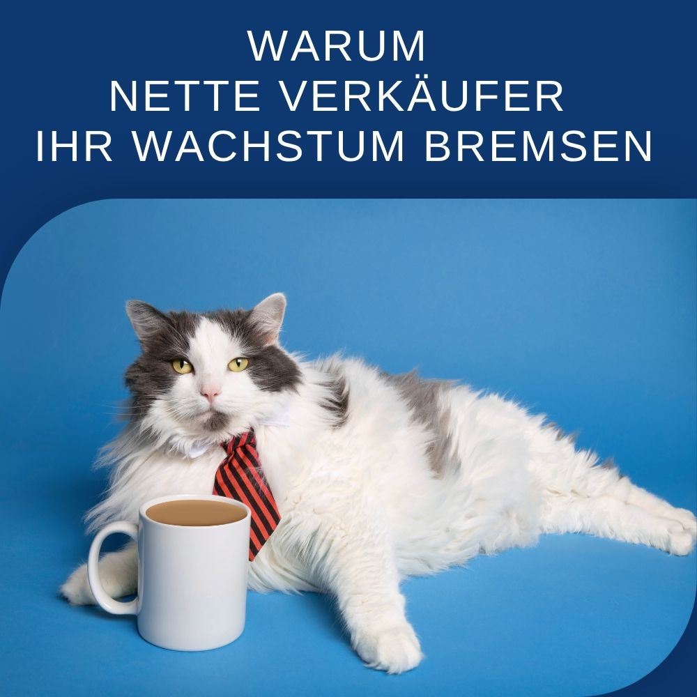 Vertriebsmitarbeiter einstellen, die wirklich verkaufen