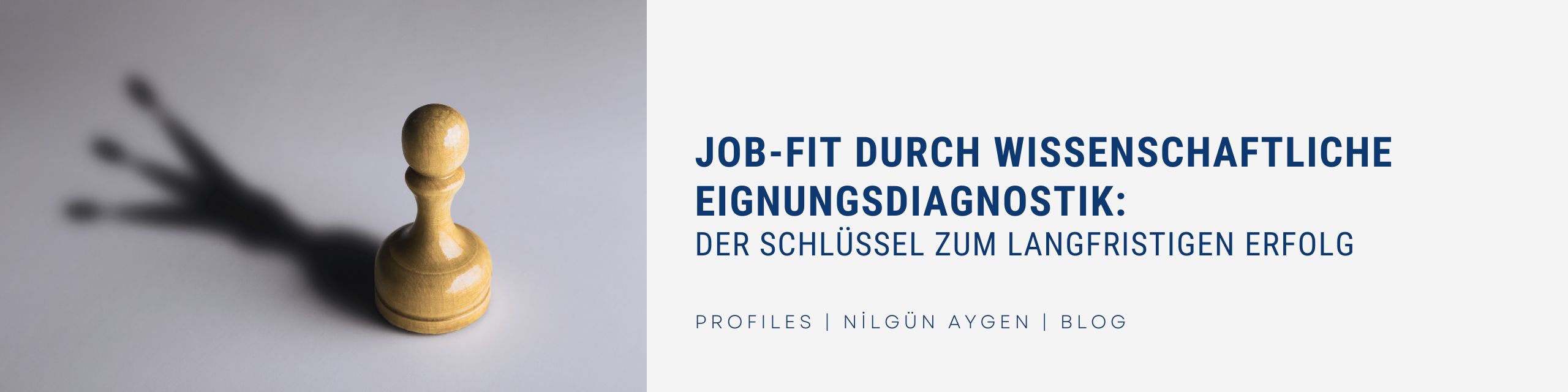 Job-Fit durch wissenschaftliche Eignungsdiagnostik